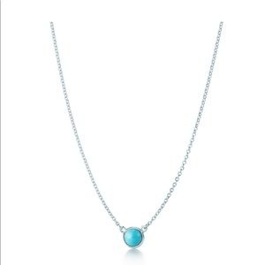Elsa Peretti Necklace 